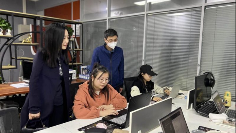 类型分类：了解不同背景布的特点