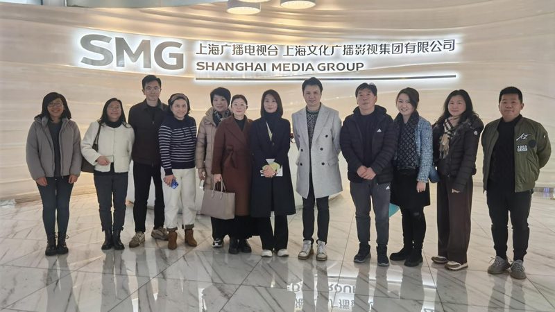 免费MG动画素材下载全攻略，轻松开启创意之旅
